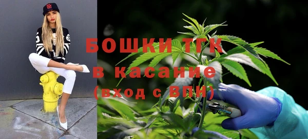 стафф Кодинск