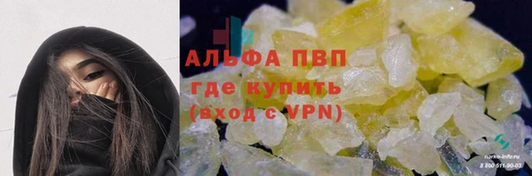 стафф Кодинск