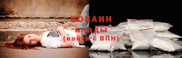 бошки Козловка