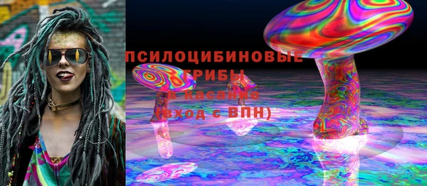 стафф Кодинск