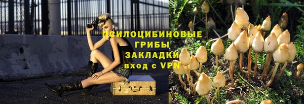 стафф Кодинск